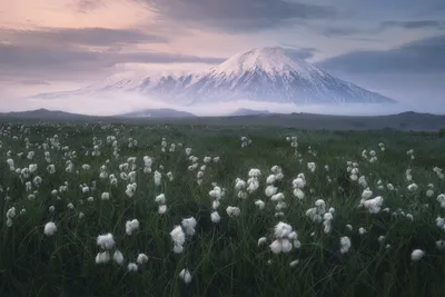 Бесплатные фотообои Камчатки для скачивания на рабочий стол