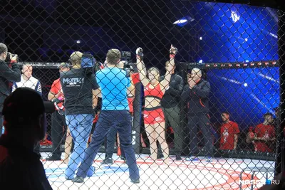 Обои на рабочий стол mma/ufc с участием Ка­рине Силь­ва