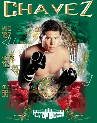 Хулио Сезар Чавес JCC 4LUVofBOXING Плакат Новый бокс настенное искусство | eBay