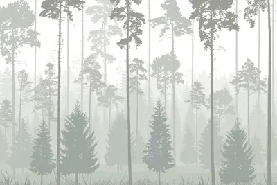 Хвойный лес: Зеленая красота для твоего телефона