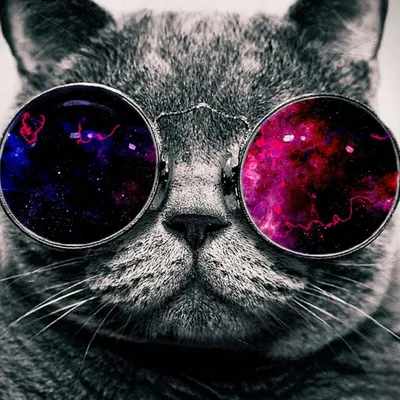 Кот в очках космос: обои на телефон и рабочий стол