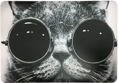 Интересные обои с котом в очках космос для скачивания