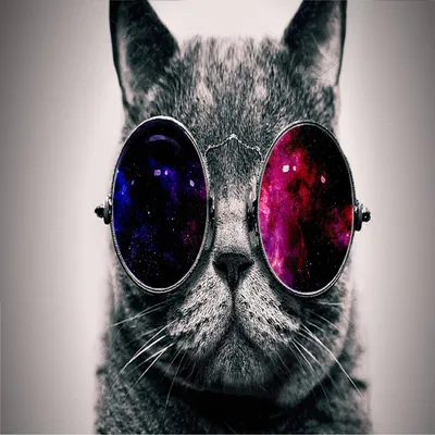 Обои с котом в очках космос в разных размерах