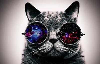 Обои с котом в очках космос для iPhone и Android