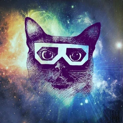 Интересные фото обоев: кот в очках космос