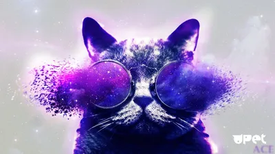 Кот в очках космос - ваш персональный фон