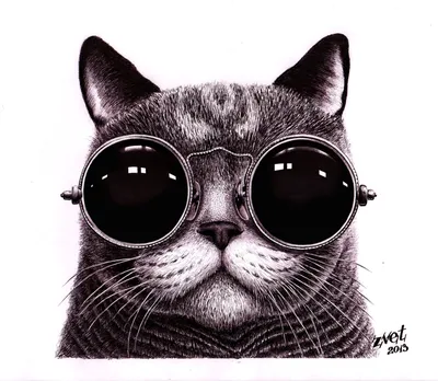 Индивидуальные обои для вас: кот в очках космос