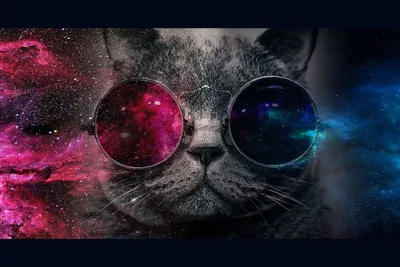 Кот в очках космос: фото в хорошем качестве для фона