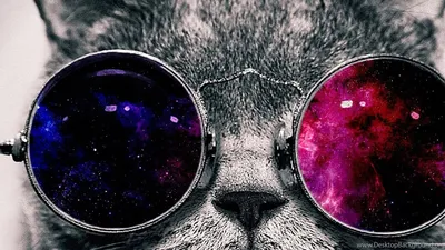 Футуристические обои с котом в очках космос для iPhone
