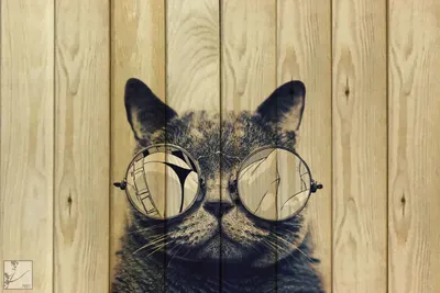 Удивительные обои на телефон: кот в очках космос