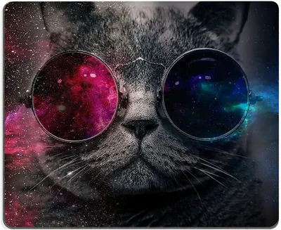 Скачать бесплатно обои с котом в очках космос в разных форматах