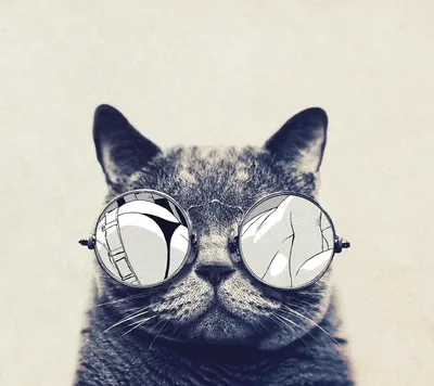 Cкачать обои с котом в очках космос в формате jpg