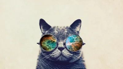 Кот в очках космос: фото в формате png