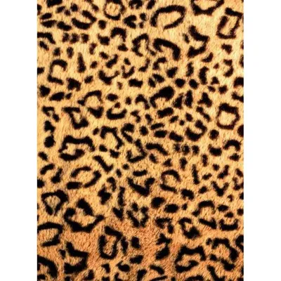 Леопардовый принт: красочные обои на телефон