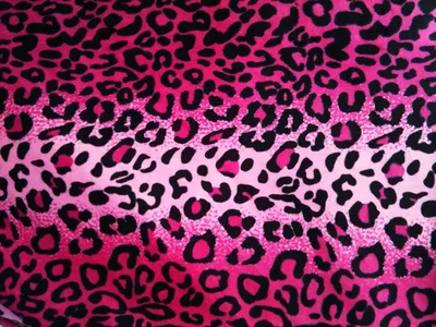 Леопардовый принт: красочные обои на телефон