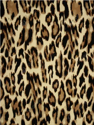 Леопардовый принт на обоях: фото в высоком разрешении для iPhone и Android