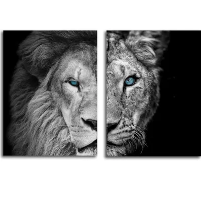 Фото Лев и львица в формате png для Windows