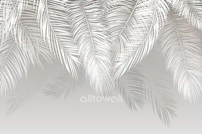 Листья пальмы: обои на телефон в формате jpg для Android