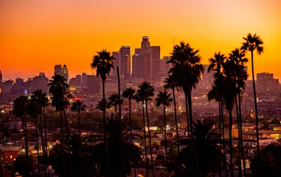 Скачать бесплатно обои Los Angeles в качестве webp