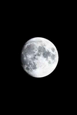 Обои Луны - скачать бесплатно в webp формате
