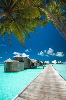 Обои Мальдивы на рабочий стол: увлекитесь красотой островов