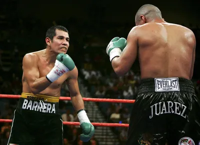 Эрик Моралес и Марко Антонио Баррера вступают в бой в своем третьем бою : r/Boxing