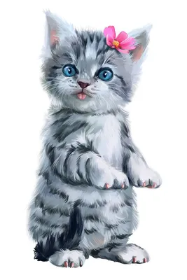 Милые котята: качественные фото для украшения вашего фона
