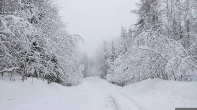 Важеозерский монастырь (фото) | Кезлинг