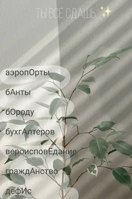 Обои для iPhone: русская мотивация, выбирай размер и формат (PNG, WebP)