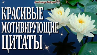 Скачать бесплатные мотивирующие обои на телефон и компьютер в хорошем качестве