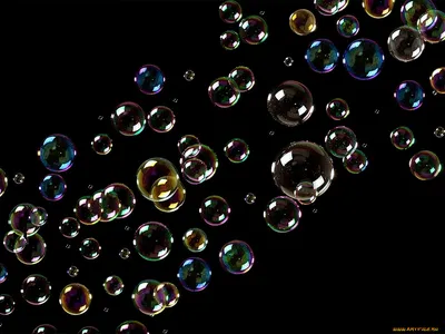 Фото Мыльные пузыри для рабочего стола Windows: скачать