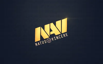 Natus Vincere: Фото в высоком разрешении для скачивания в PNG