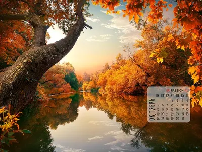 Бесплатные фоновые изображения Октябрь для iPhone