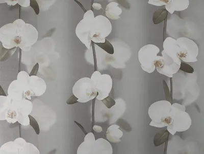 Фото орхидеи: бесплатные обои для iPhone