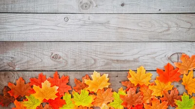 Осенние листья: красочные обои для iPhone