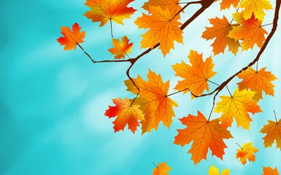 Осень листья: фото на рабочий стол в хорошем качестве