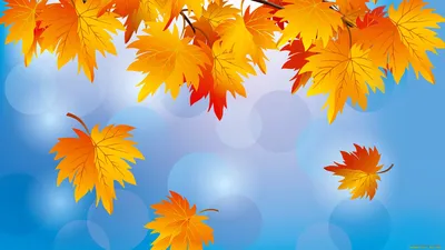 Осенние листья: фото обои для Windows