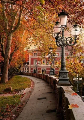 Осень в городе: фото для iPhone