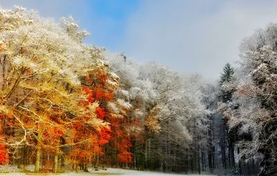 Коллекция обоев Осень зима для Windows