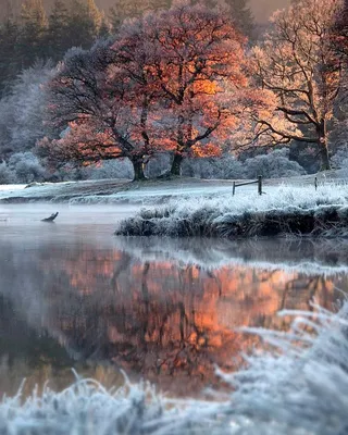 Осень зима: прекрасные фото на обои