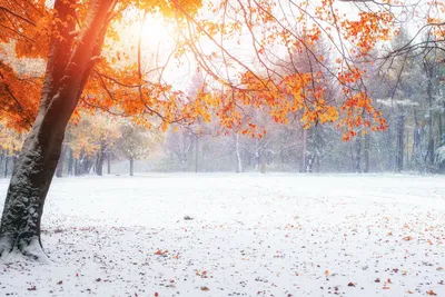 Свежие и яркие обои Осень зима для iPhone и Android