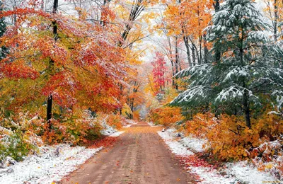 Скачать обои Осень зима в формате webp бесплатно