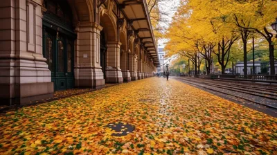 Скачать фото осени с привлекательной палитрой