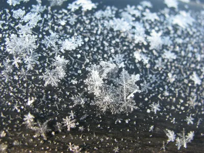 Зимняя сказка на твоем телефоне - обои Падающий снег