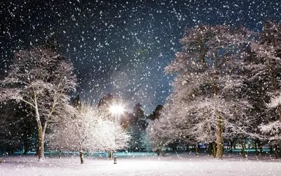 Зимняя красота на твоем телефоне - фото Падающий снег