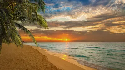 Фоновые обои Пляж с прекрасным видом