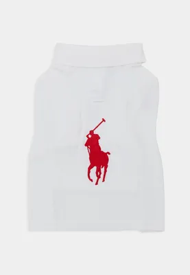 Обои Polo Ralph Lauren: Индивидуальность на вашем iPhone