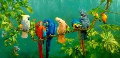 Фото попугаев для живых обоев - выберите формат изображения