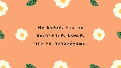 Прикольные для обоев: Скачивай бесплатно в хорошем качестве