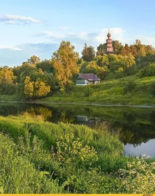 Природа лето: обои на телефон и рабочий стол в jpg формате